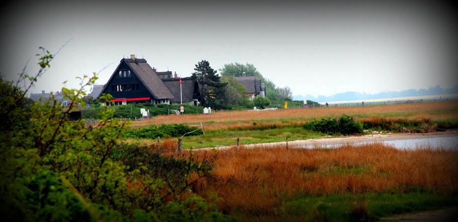 Natur- und Vogelschutzgebiet Graswarder, Heiligenhafen