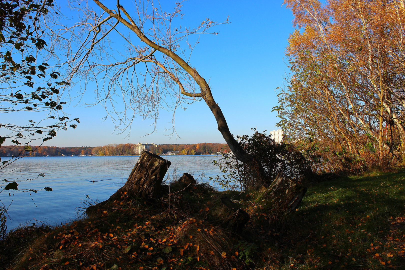 Natur und Wasser