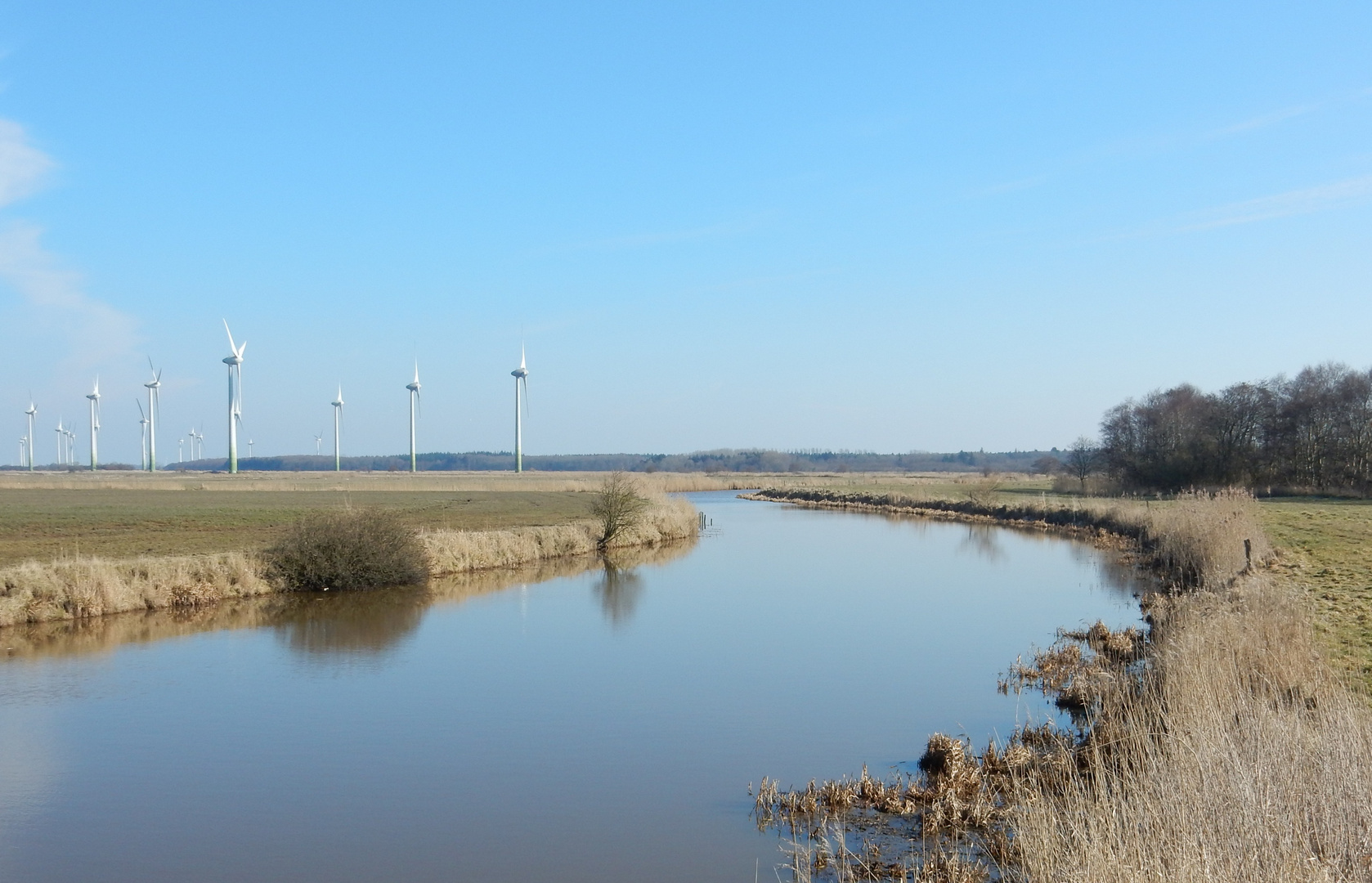 Natur und Windkraft