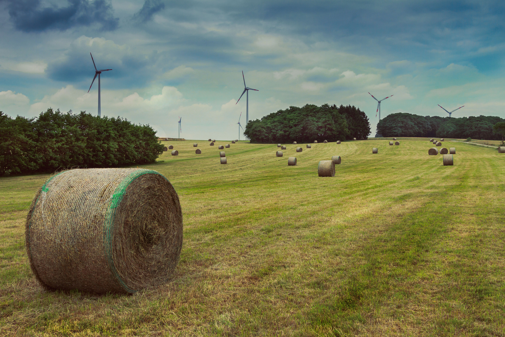 Natur und Windkraft