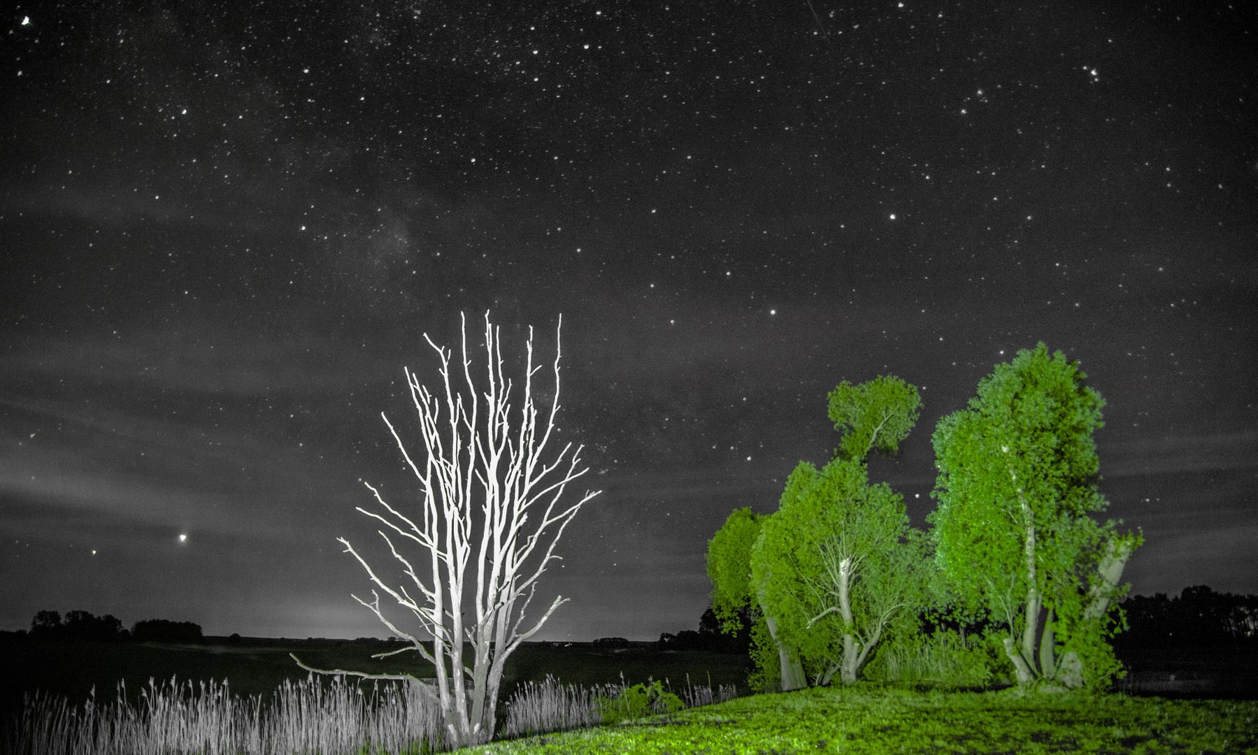 Natur unter dem Sternenhimmel