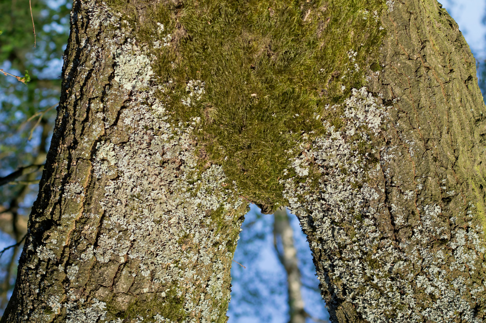 Natur unter der Gürtellinie