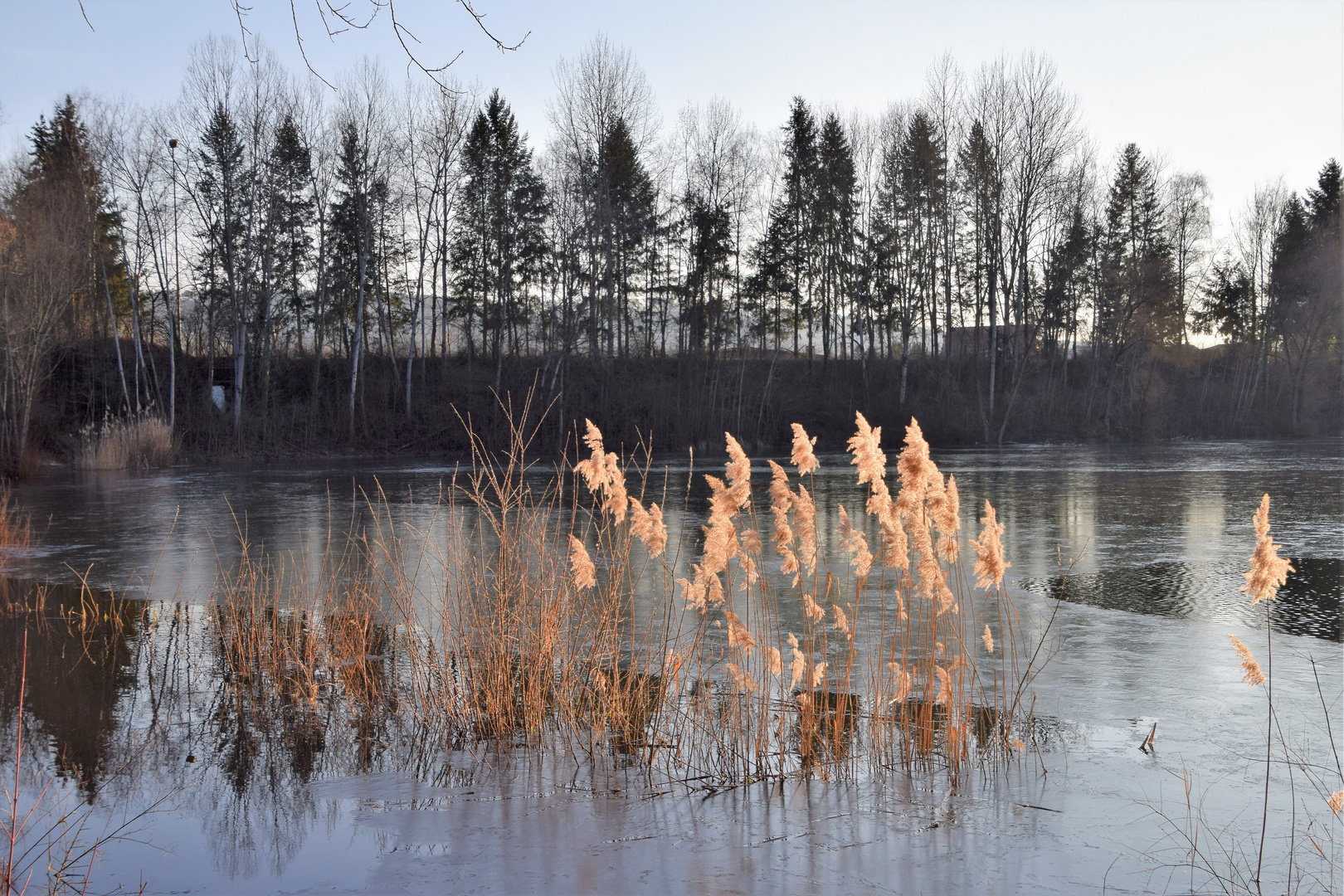 Natur - verbunden .......