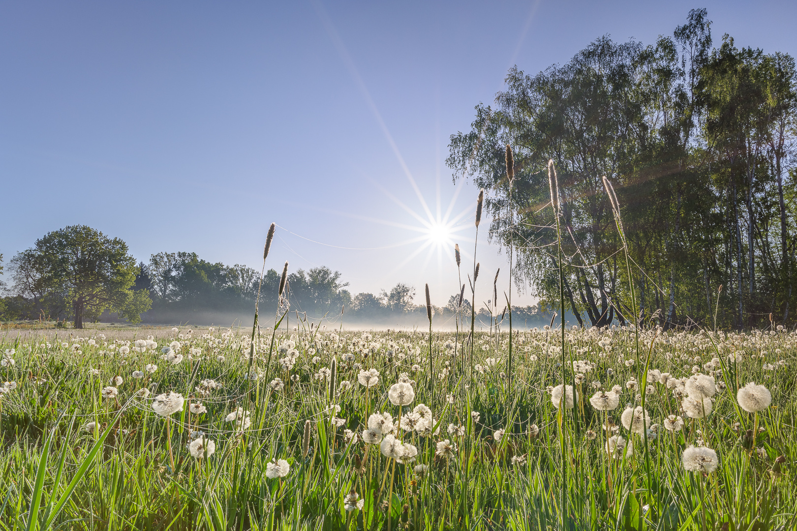 Natur verbunden