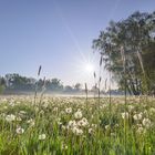 Natur verbunden