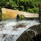 Natur verfügt über die größten Ressourcen