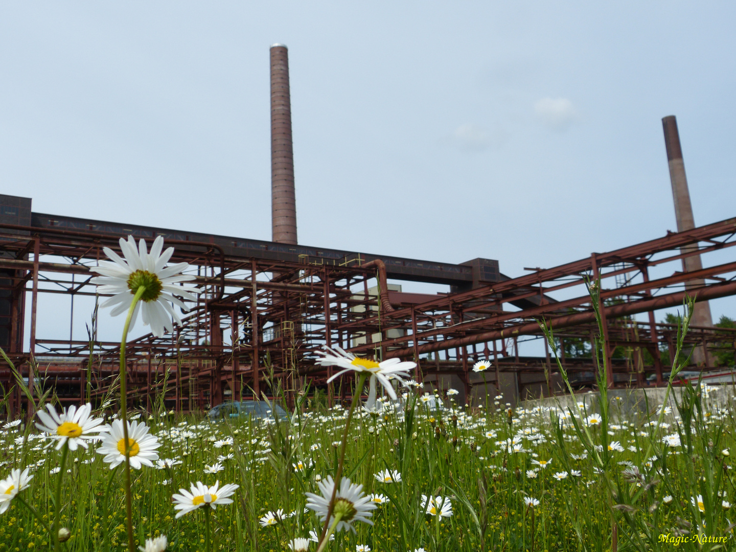 Natur versus Industriegebiet