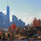 Natur versus Skyline