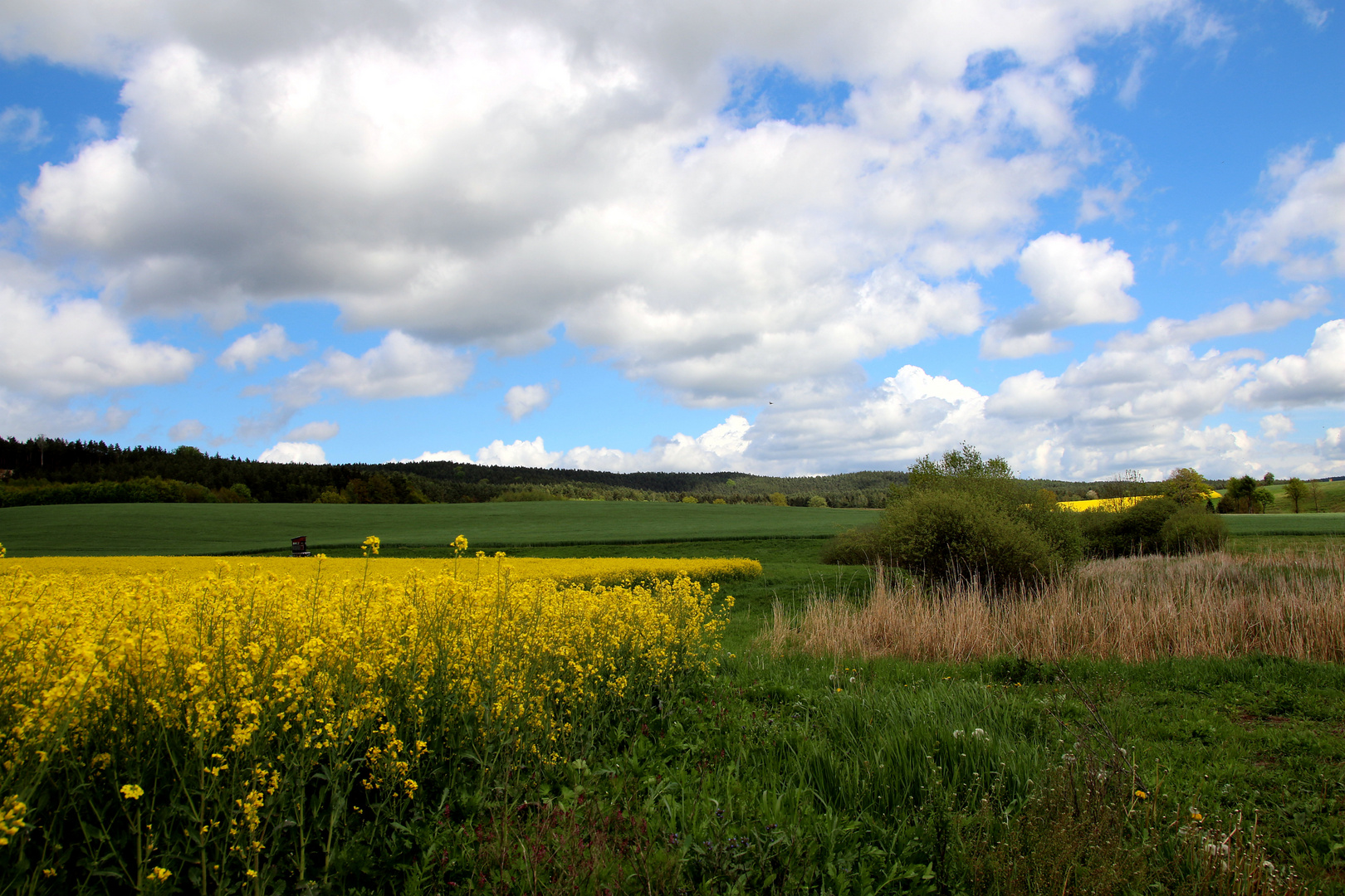 Natur von der schönsten Seite