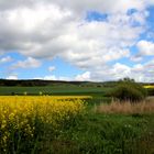 Natur von der schönsten Seite