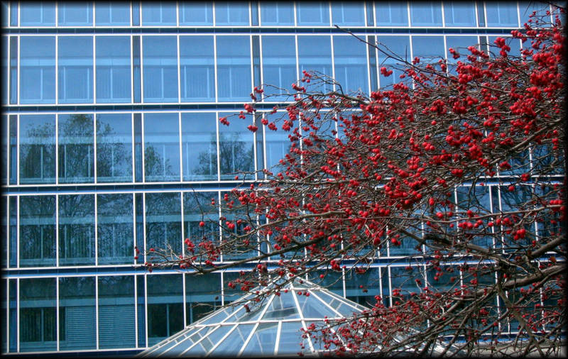 Natur vor Architektur