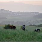 Natur vor den Toren der großen Stadt