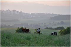 Natur vor den Toren der großen Stadt