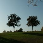 Natur vor der Haustür