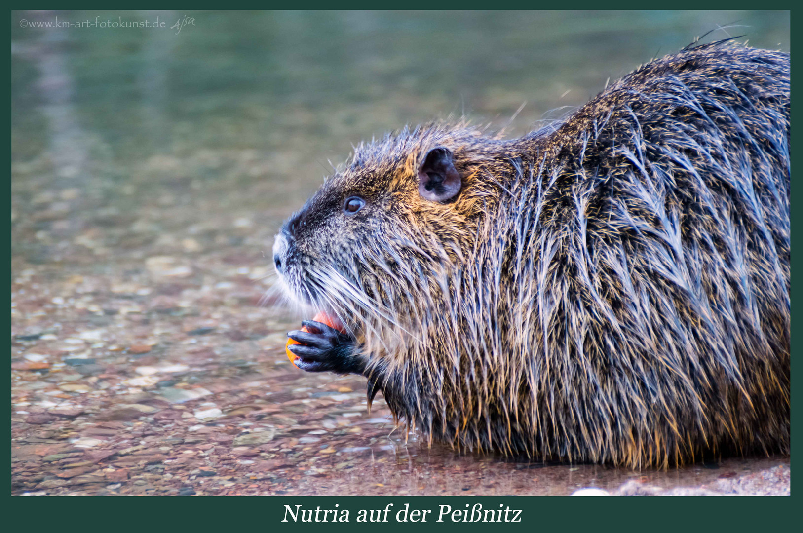 Natur vor der Tür