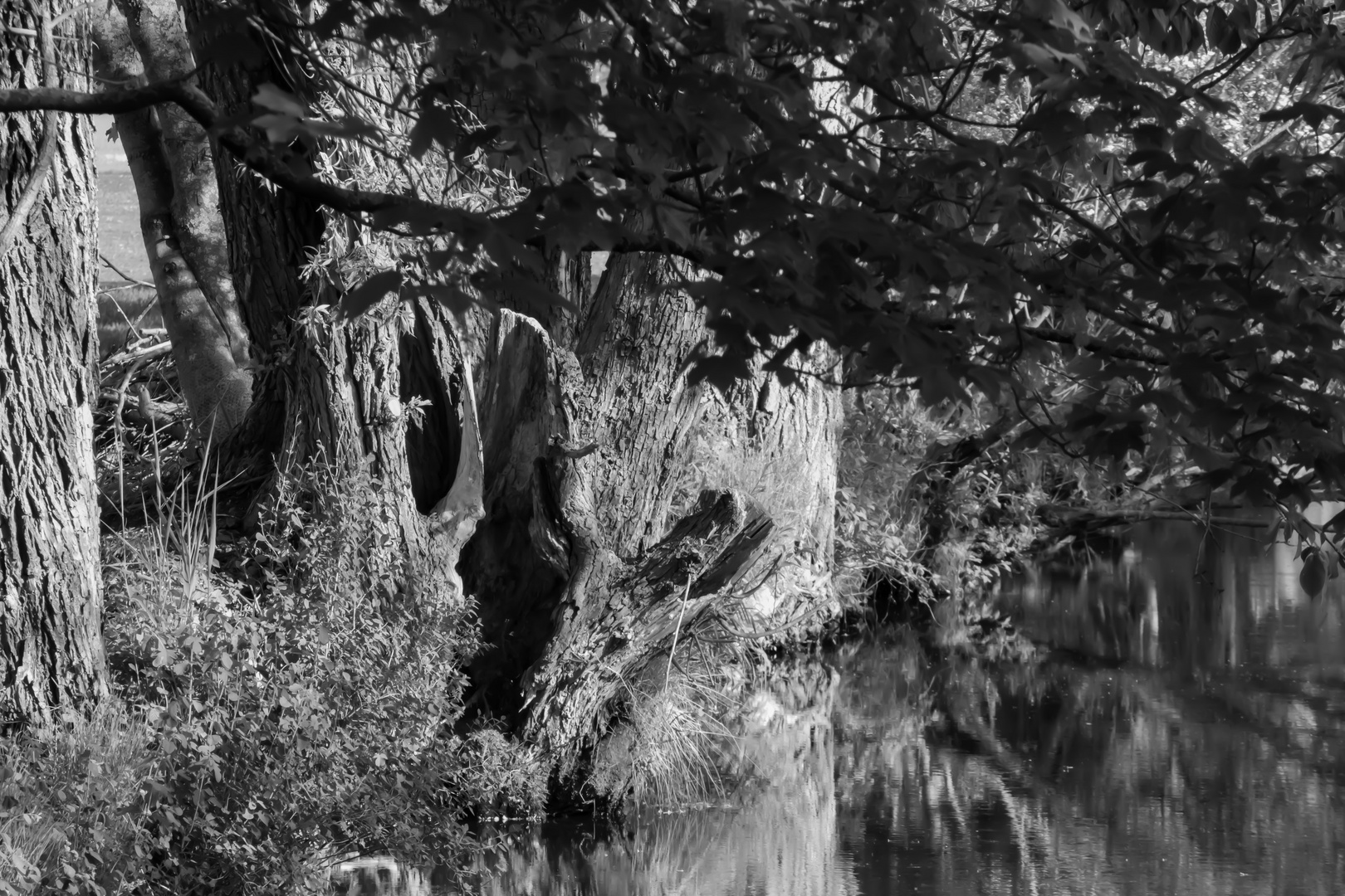 Natur vor der Tür