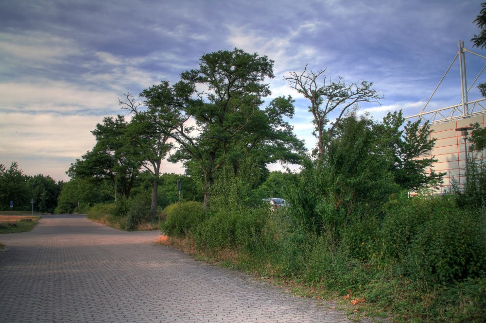 Natur vor Hightech-Gebaeude