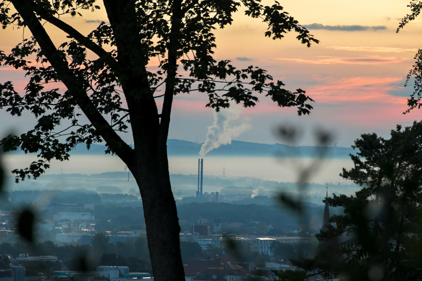 Natur vs. Industrie