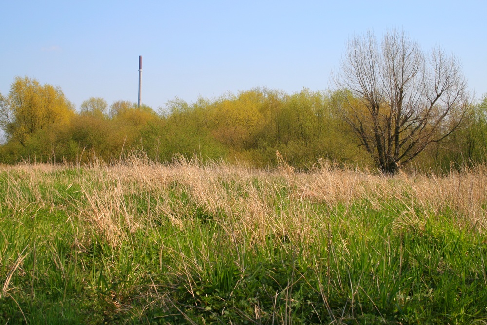 Natur vs Industrie