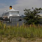 Natur vs. Kreuzfahrtschiff