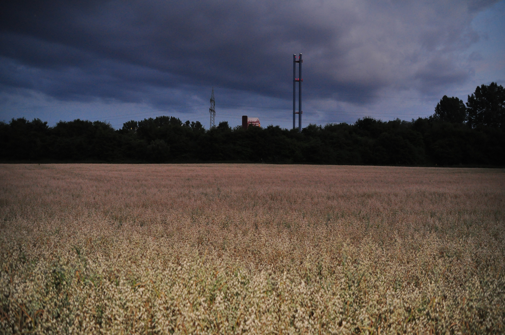 Natur VS. Müllverbrennung