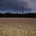 Natur VS. Müllverbrennung