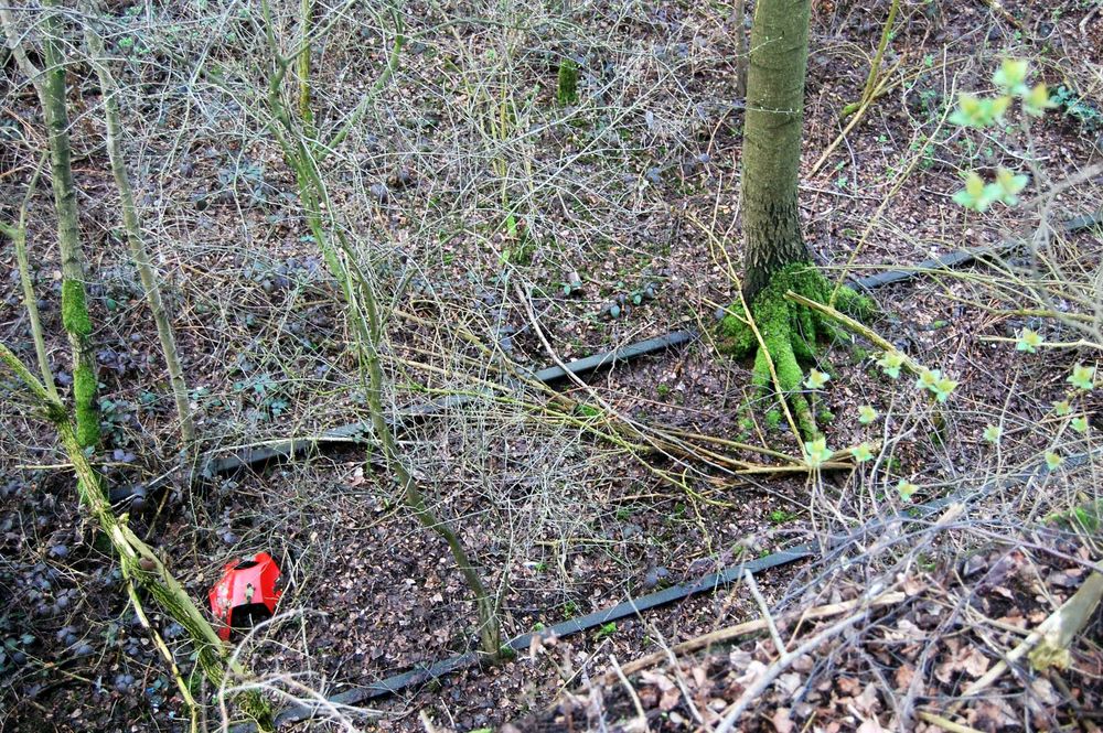 Natur vs Technik grün gegen grau Impressionen am Gleis