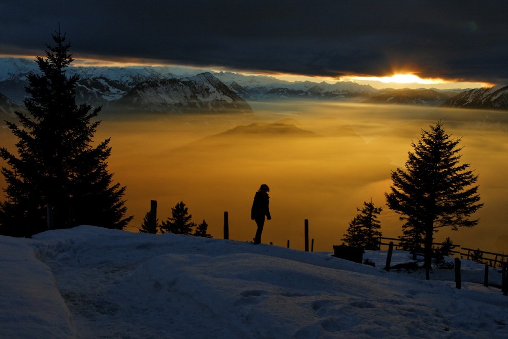 Natur Weihnachtsstimmung 3