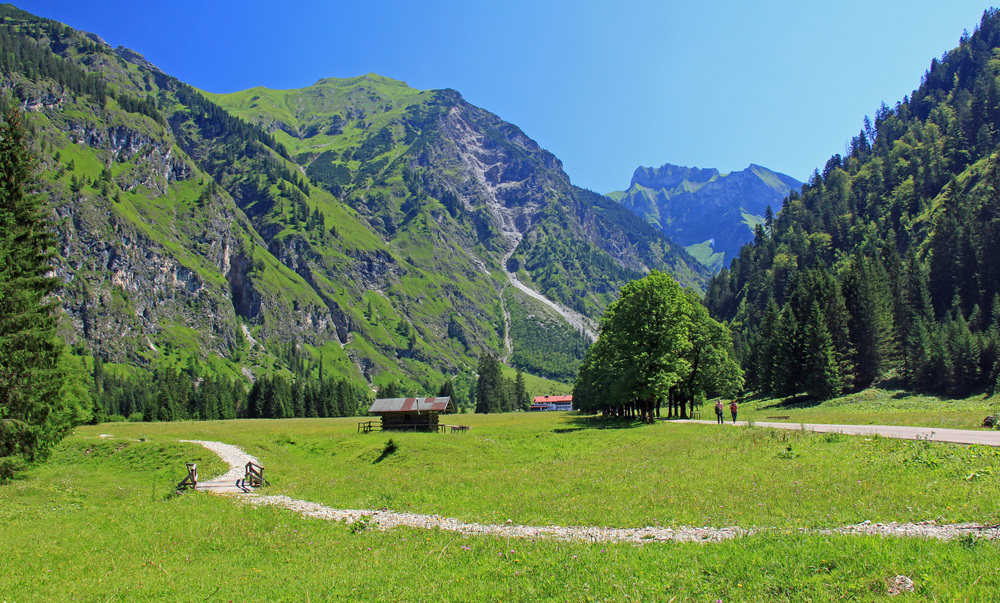 Natur-Weitblick