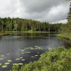 Natur wie sie einmal war...