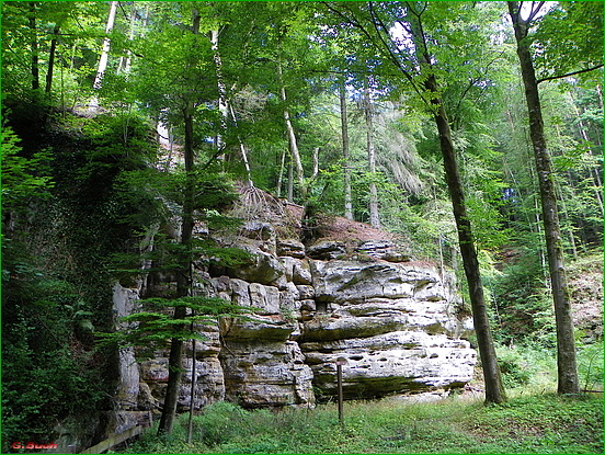 Natur wie sie sich selbst geschaffen hat