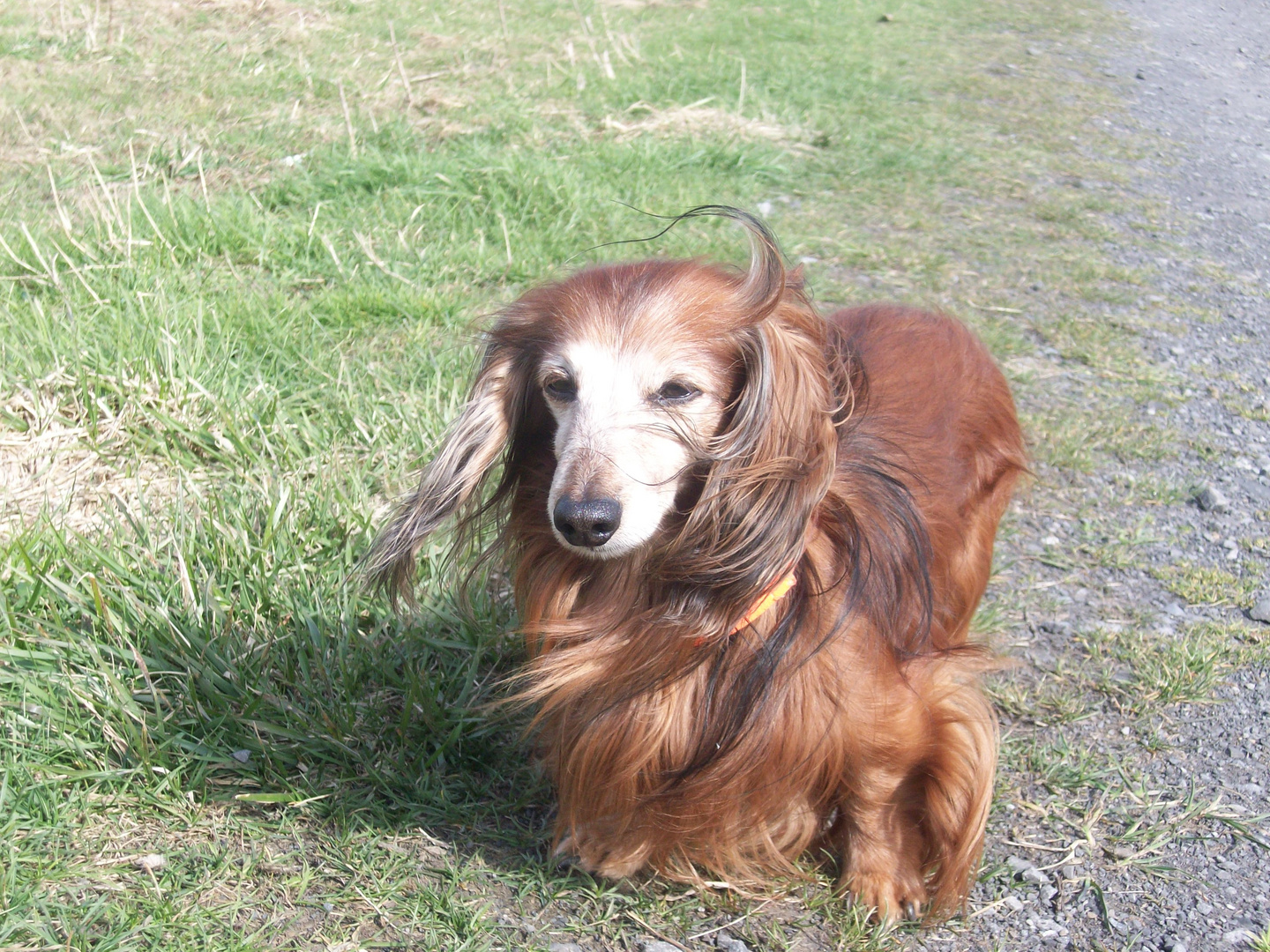 Natur, Wind was will man mehr.