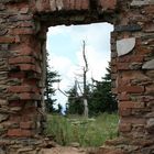 Natur zerstört - Zerstörung der Natur