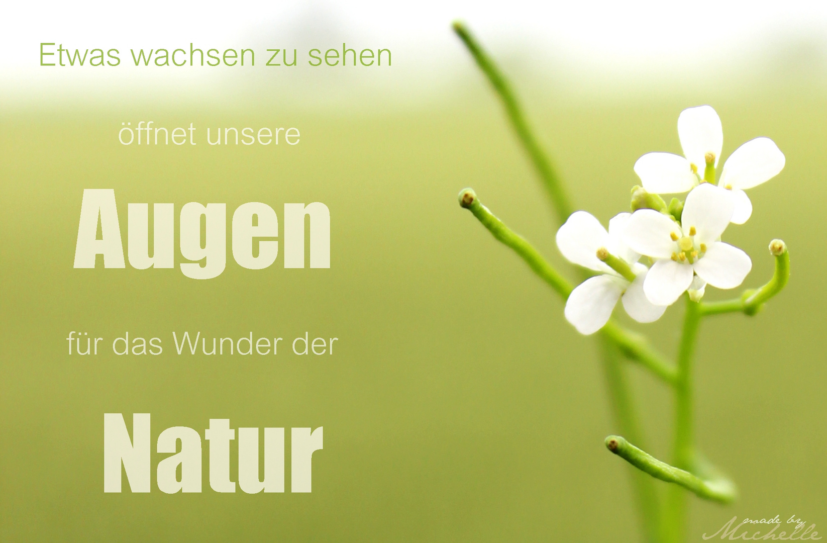 Natur Zitat