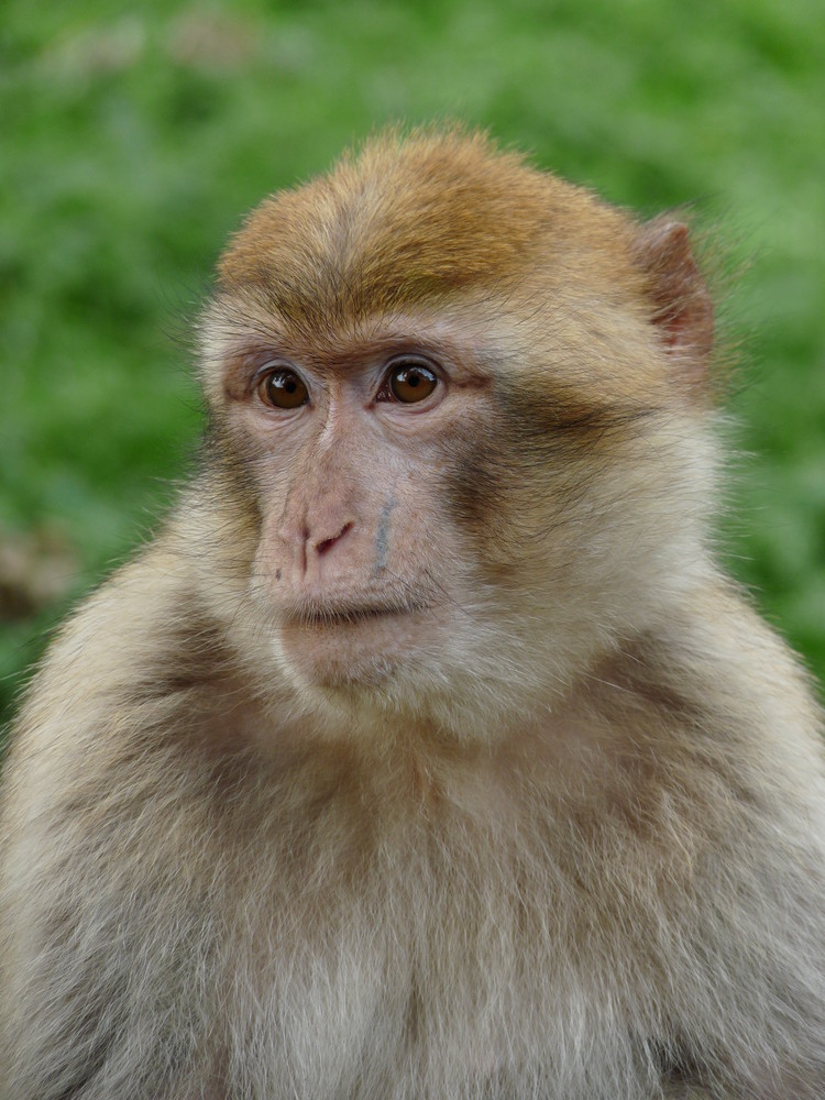 Natur Zoo Rheine