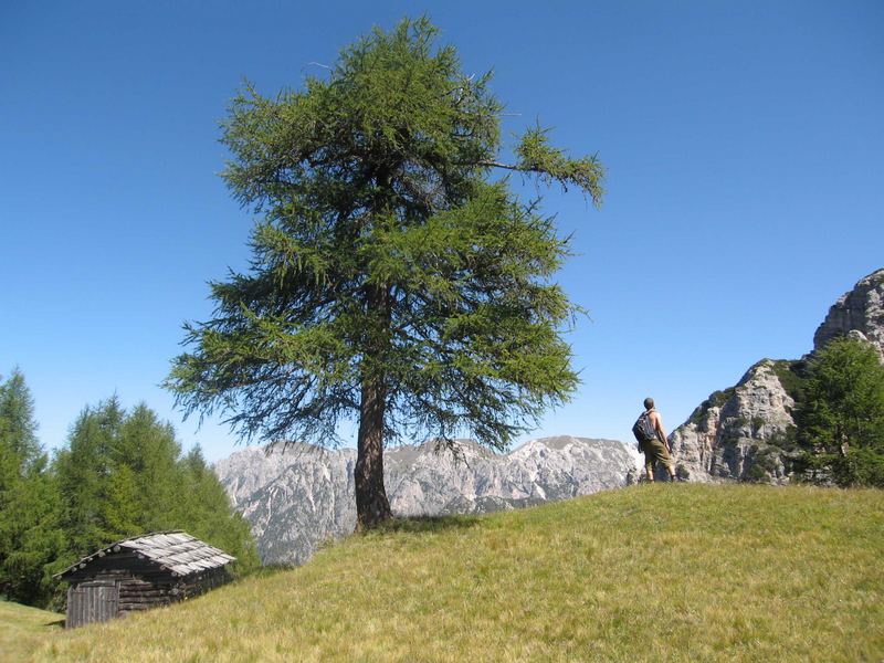 Natur zum Anfassen