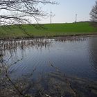 Natur zur Osterzeit  2019