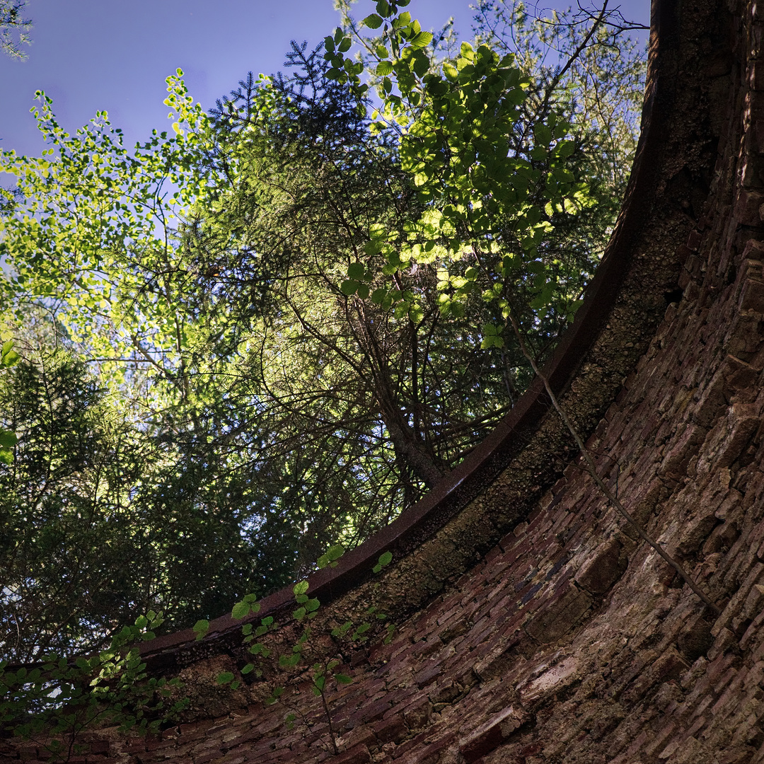 Natur zurückerobert