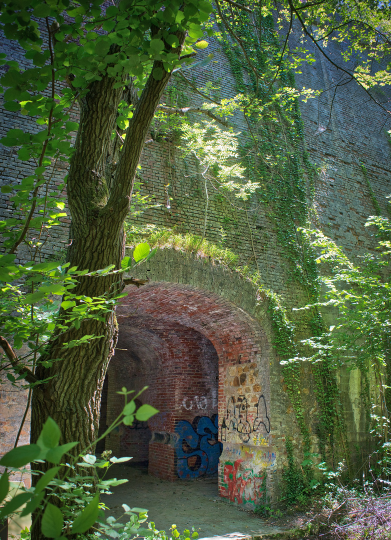 Natur zurückerobert