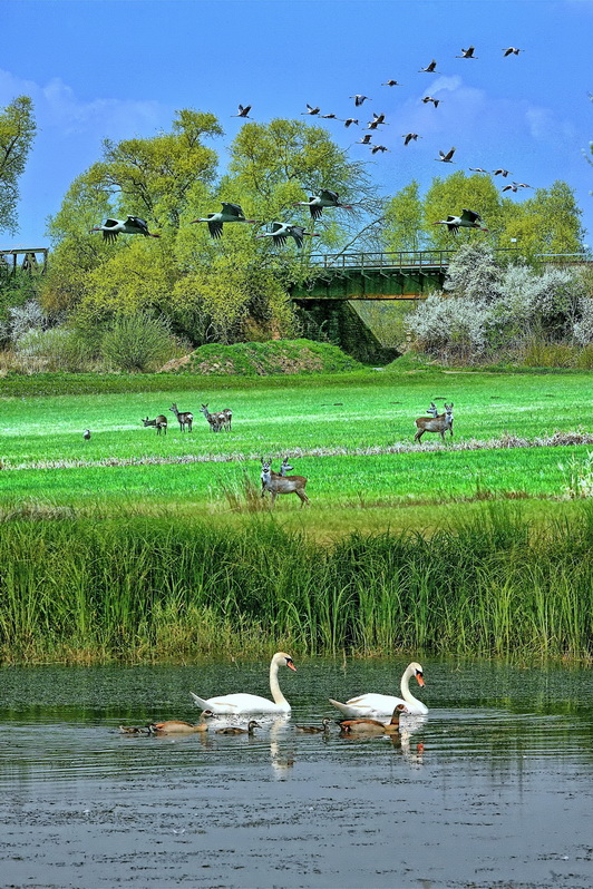 Natur zusammengefasst auf kleinen Raum