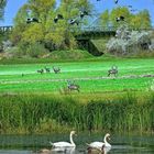 Natur zusammengefasst auf kleinen Raum