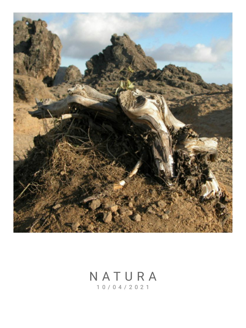 NATURA