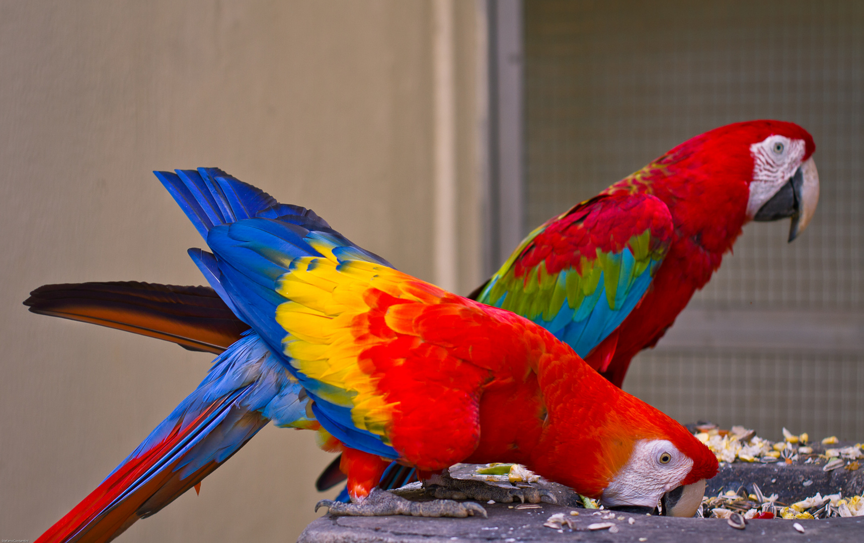 natura a colori