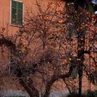 Natura di via alla stazione