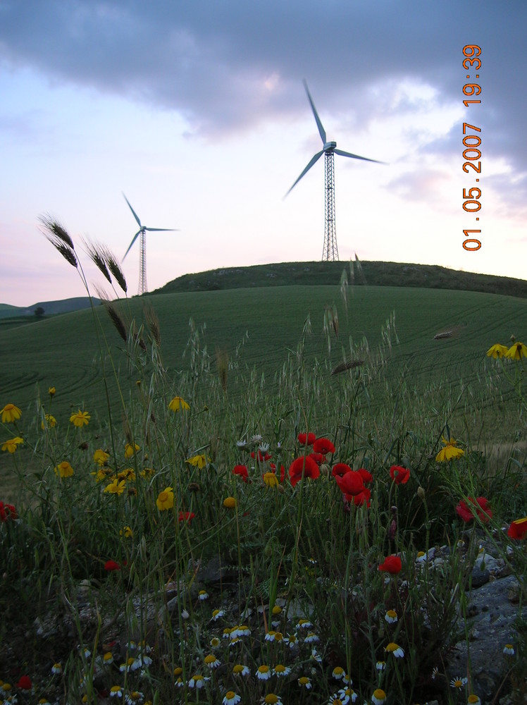 Natura è energia