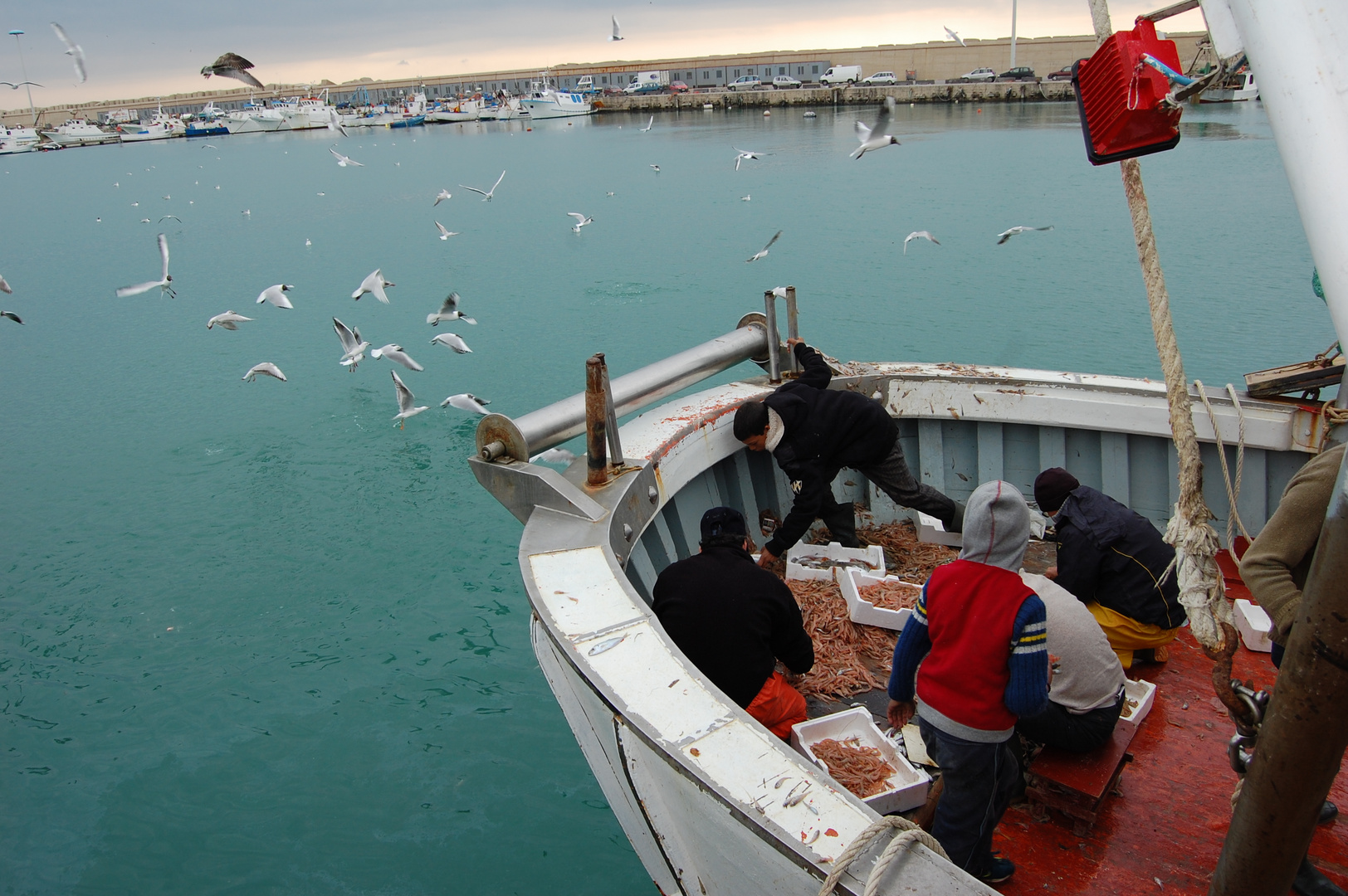 Natura e lavoro...mare e gabbiani.