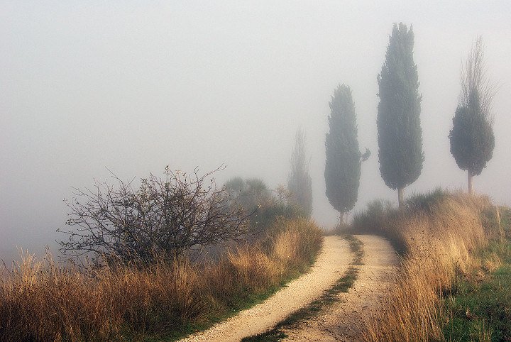 ....natura è luce.