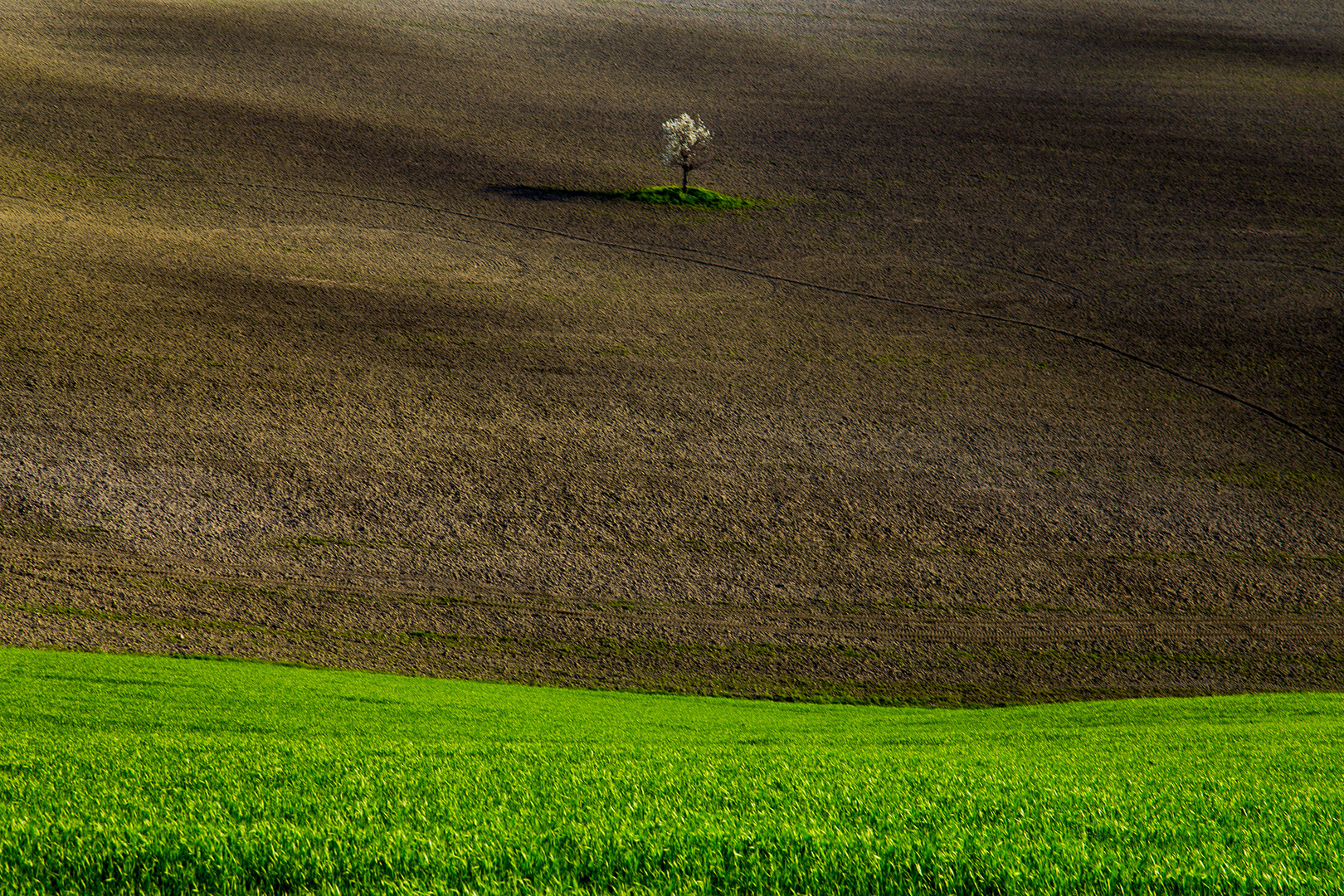 Natura e paesaggio 1