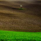 Natura e paesaggio 1