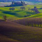 Natura e paesaggio 6